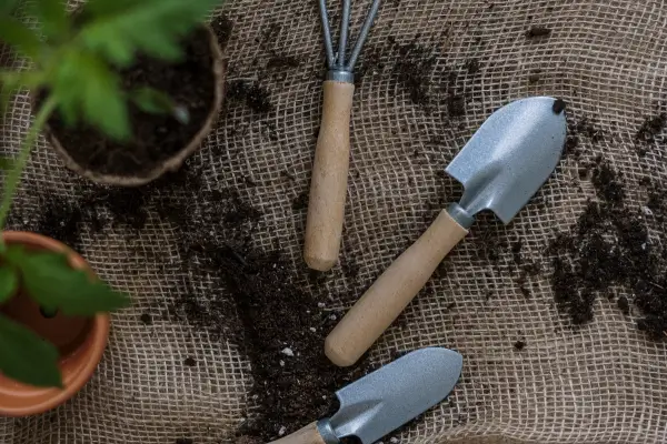 Ferramentas para Jardinagem: O Que Você Realmente Precisa