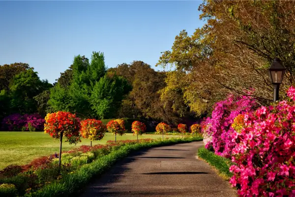 Permacultura para Iniciantes: Princípios Básicos para um Jardim vigoroso