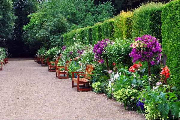 Caminhos de Cascalho: Como para Criar Trilhas chamativas no Jardim