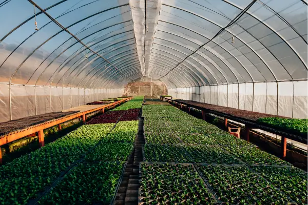 Equipamentos modernos para proteção de cultivos em estufas