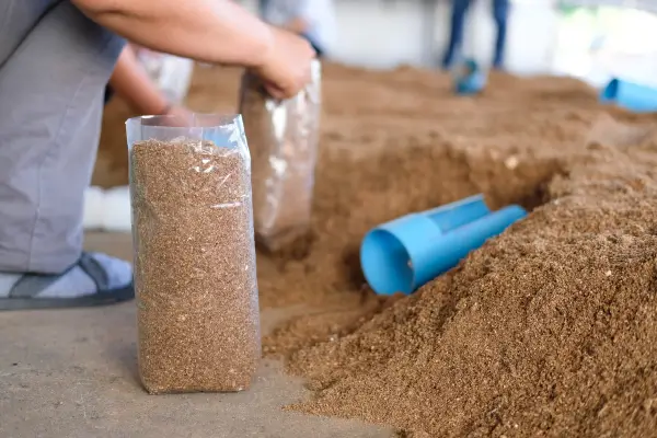 Bons Substratos para Orquídeas de Vaso