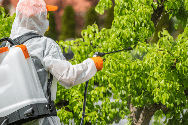 Pulverizadores de Alta Pressão: Quando e Como Utilizá-los em Seu Jardim