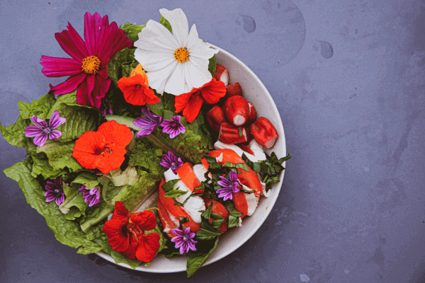 Como consumir Flores Comestíveis: Utilize no seu dia a dia