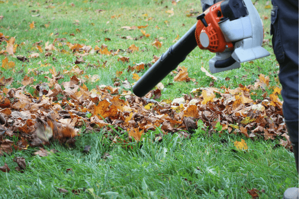 Tudo Sobre os Sopradores de Folhas a Bateria: Eficiência para o Seu Jardim