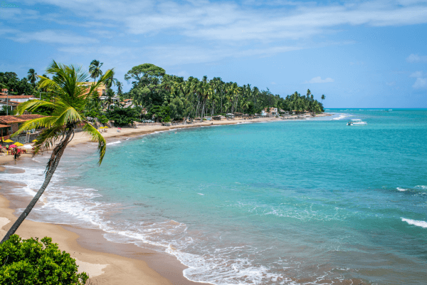 Praias do nordeste: Conheça as melhores!