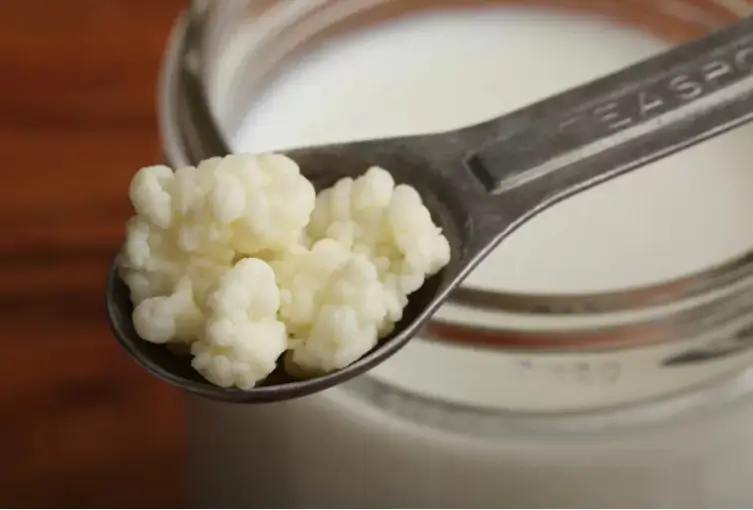 Kefir
